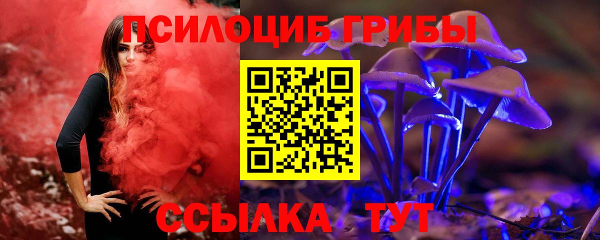 Псилоцибиновые грибы MAGIC MUSHROOMS  Галлюциногенные грибы GOLDEN TEACHER  Павловский Посад  Вход с VPN 